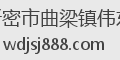 新密市曲梁镇伟东