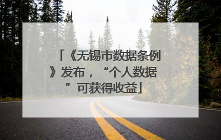 《无锡市数据条例》发布，“个人数据”可获得收益