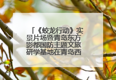 《蛟龙行动》实景片场暨青岛东方影都国防主题文旅研学基地在青岛西海岸新区开业