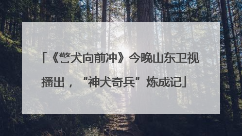 《警犬向前冲》今晚山东卫视播出，“神犬奇兵”炼成记