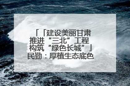 「建设美丽甘肃 推进“三北”工程 构筑“绿色长城”」民勤：厚植生态底色 筑牢绿色屏障