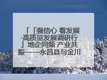 「强信心 看发展·高质量发展调研行」地企同频 产业共振——永昌县与金川集团地企融合推动重大项目建设