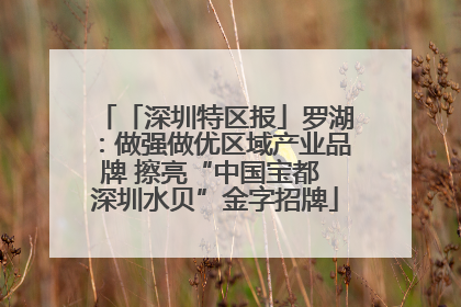 「深圳特区报」罗湖：做强做优区域产业品牌 擦亮“中国宝都 深圳水贝”金字招牌