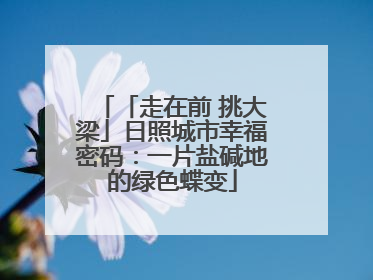 「走在前 挑大梁」日照城市幸福密码：一片盐碱地的绿色蝶变