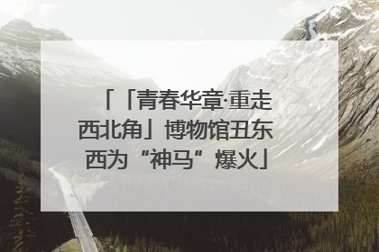 「青春华章·重走西北角」博物馆丑东西为“神马”爆火