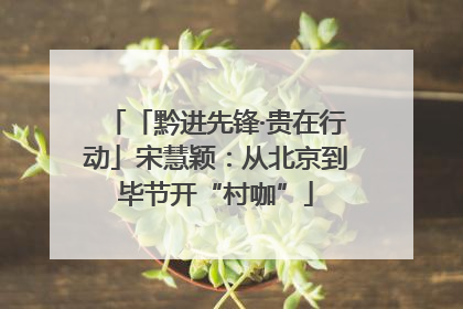 「黔进先锋·贵在行动」宋慧颖：从北京到毕节开“村咖”