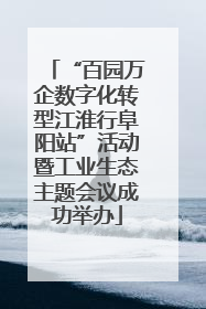 “百园万企数字化转型江淮行阜阳站”活动暨工业生态主题会议成功举办