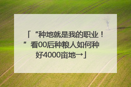 “种地就是我的职业！”看00后种粮人如何种好4000亩地→