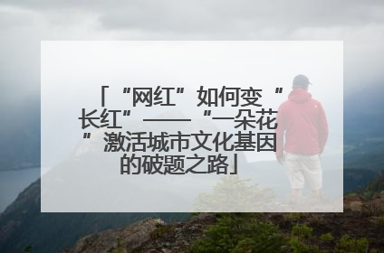 “网红”如何变“长红”——“一朵花”激活城市文化基因的破题之路