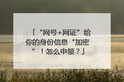 “网号+网证”给你的身份信息“加密”！怎么申领？
