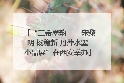 “三希墨韵——宋黎明 杨稳新 丹萍水墨小品展”在西安举办