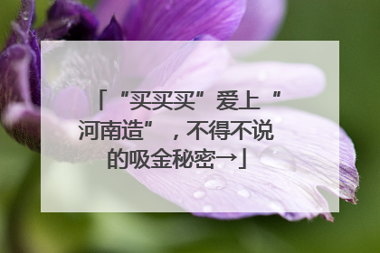 “买买买”爱上“河南造”，不得不说的吸金秘密→