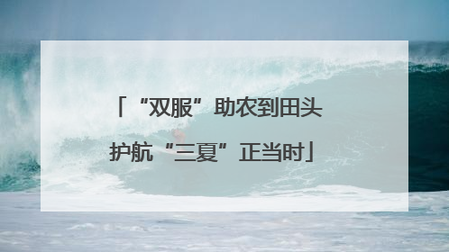 “双服”助农到田头 护航“三夏”正当时