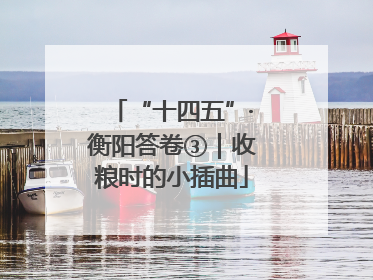 “十四五”·衡阳答卷③｜收粮时的小插曲