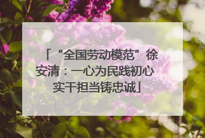 “全国劳动模范”徐安清：一心为民践初心 实干担当铸忠诚