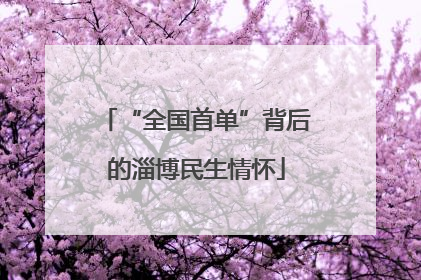 “全国首单”背后的淄博民生情怀