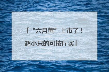 “六月黄”上市了！超小只的可按斤买