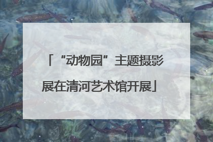 “动物园”主题摄影展在清河艺术馆开展