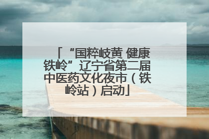 “国粹岐黄 健康铁岭”辽宁省第二届中医药文化夜市（铁岭站）启动