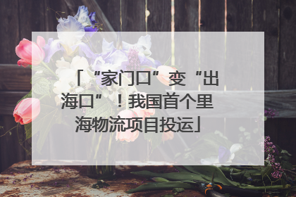 “家门口”变“出海口”！我国首个里海物流项目投运