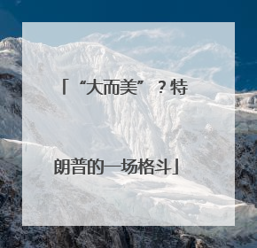 “大而美”？特朗普的一场格斗