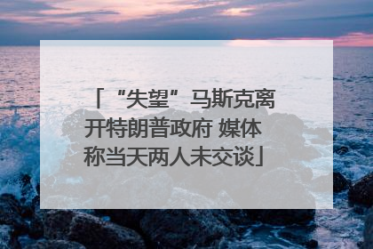 “失望”马斯克离开特朗普政府 媒体称当天两人未交谈