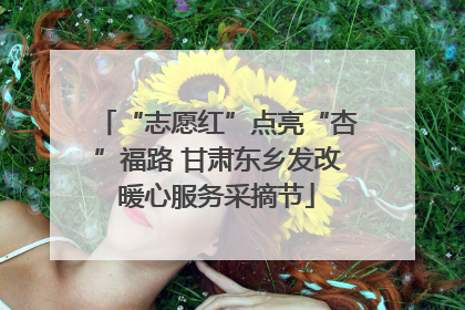 “志愿红”点亮“杏”福路 甘肃东乡发改暖心服务采摘节