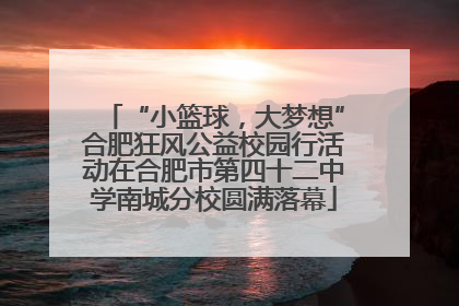 “小篮球，大梦想”合肥狂风公益校园行活动在合肥市第四十二中学南城分校圆满落幕