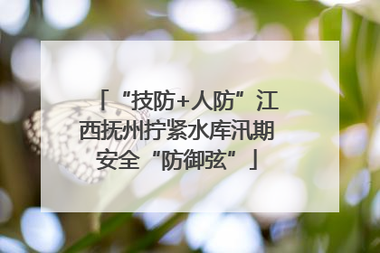 “技防+人防”江西抚州拧紧水库汛期安全“防御弦”
