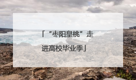 “枣阳皇桃”走进高校毕业季