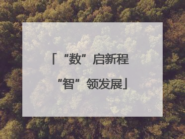 “数”启新程 “智”领发展