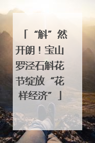 “斛”然开朗！宝山罗泾石斛花节绽放“花样经济”