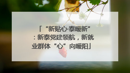 “新贴心·泰暖新”：新泰党建领航，新就业群体“心”向暖阳