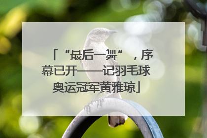 “最后一舞”，序幕已开——记羽毛球奥运冠军黄雅琼