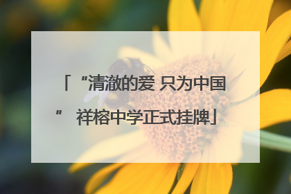 “清澈的爱 只为中国” 祥榕中学正式挂牌