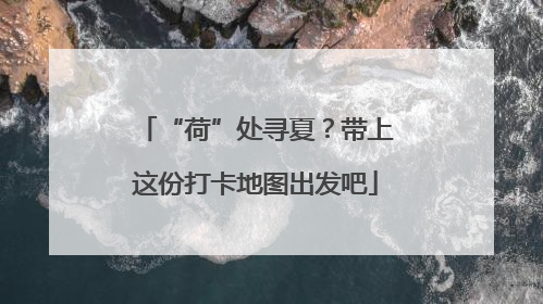 “荷”处寻夏？带上这份打卡地图出发吧