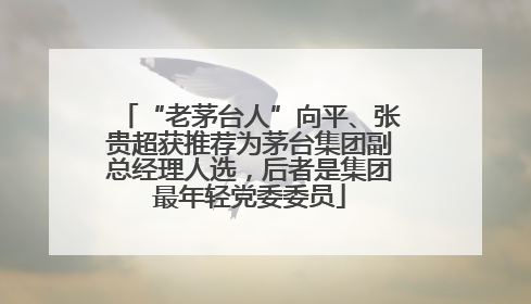 “老茅台人”向平、张贵超获推荐为茅台集团副总经理人选，后者是集团最年轻党委委员