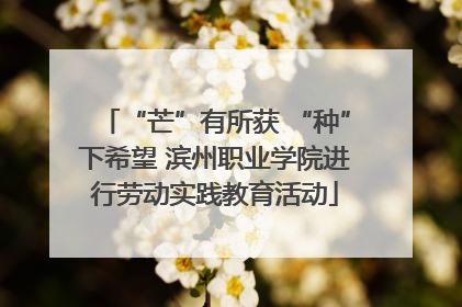 “芒”有所获 “种”下希望 滨州职业学院进行劳动实践教育活动
