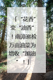 “花香”变“油香”！南漳巡检万亩油菜为增收“加油”！