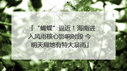 “蝴蝶”逼近！海南进入风雨核心影响时段 今明天局地有特大暴雨
