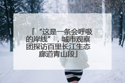 “这是一条会呼吸的岸线”，城市观察团探访百里长江生态廊道青山段