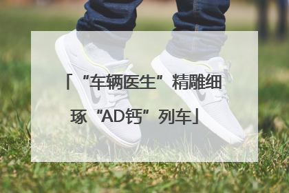 “车辆医生”精雕细琢“AD钙”列车