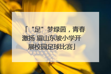 “足”梦绿茵，青春激扬 眉山东坡小学开展校园足球比赛