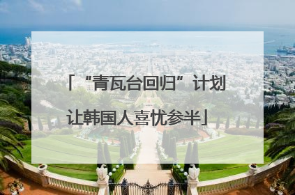 “青瓦台回归”计划让韩国人喜忧参半