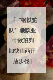 “钢铁驼队”驰欧亚 中欧班列加快山西开放步伐