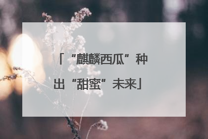 “麒麟西瓜”种出“甜蜜”未来