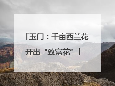 玉门：千亩西兰花开出“致富花”