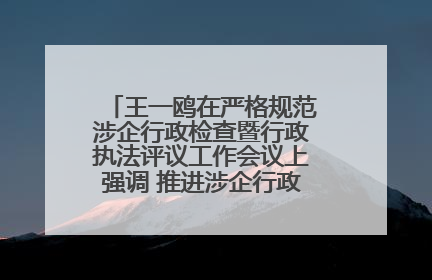 王一鸥在严格规范涉企行政检查暨行政执法评议工作会议上强调 推进涉企行政检查质效大幅提升