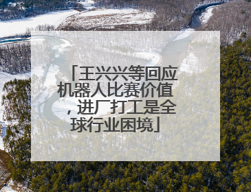 王兴兴等回应机器人比赛价值，进厂打工是全球行业困境
