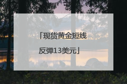 现货黄金短线反弹13美元